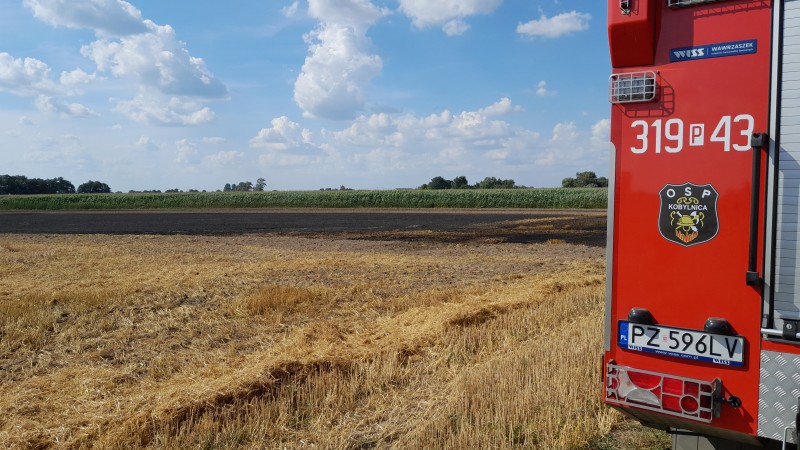 WIEŚCI Z OSP KOBYLNICA