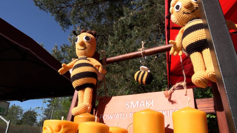 DZIEŃ ZIEMI - BEE FESTYN