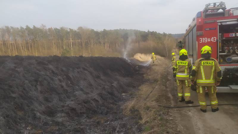 WIEŚCI OSP KOBYLNICA