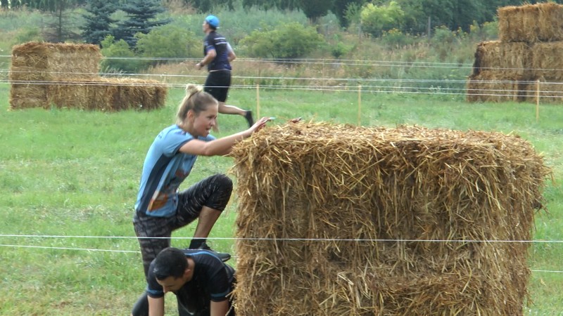 DZIKI BIEG W POLU