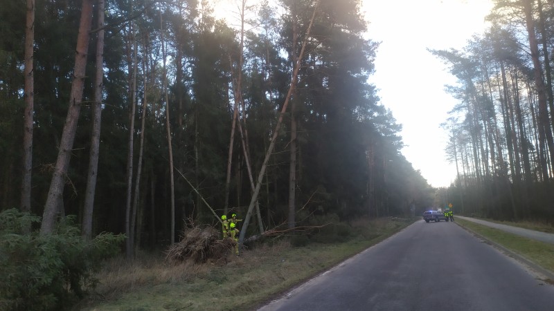 WIEŚCI Z OSP KOBYLNICA