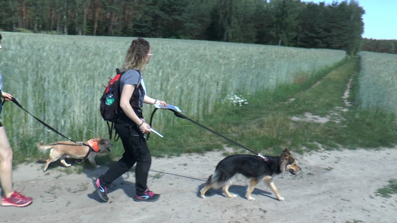 DOGTREKKING W KALWACH